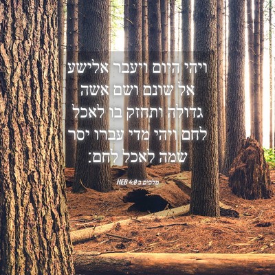 Picture 04 - מלכים ב 4:8 HEB - ויהי היום ויעבר אלישע אל - Bible Verse Picture