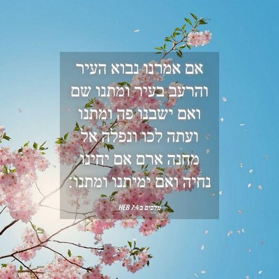 Picture 04 - מלכים ב 7:4 HEB - אם אמרנו נבוא העיר והרעב - Bible Verse Picture