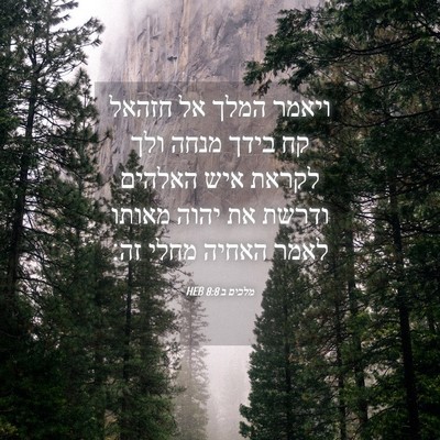 Picture 04 - מלכים ב 8:8 HEB - ויאמר המלך אל חזהאל קח בידך - Bible Verse Picture