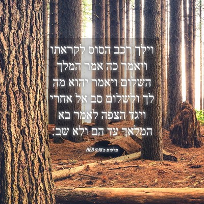 Picture 04 - מלכים ב 9:18 HEB - וילך רכב הסוס לקראתו ויאמר - Bible Verse Picture