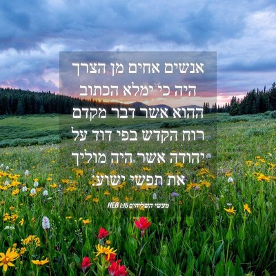 Picture 04 - מעשי השליחים 1:16 HEB - אנשים אחים מן הצרך היה כי - Bible Verse Picture