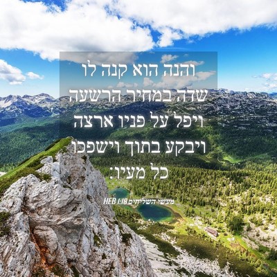 Picture 04 - מעשי השליחים 1:18 HEB - והנה הוא קנה לו שדה במחיר - Bible Verse Picture