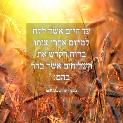 Picture 04 - מעשי השליחים 1:2 HEB - עד היום אשר לקח למרום אחרי - Bible Verse Picture
