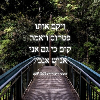 Picture 04 - מעשי השליחים 10:26 HEB - ויקם אותו פטרוס ויאמר קום - Bible Verse Picture