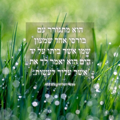 Picture 04 - מעשי השליחים 10:6 HEB - הוא מתגורר עם בורסי אחד - Bible Verse Picture