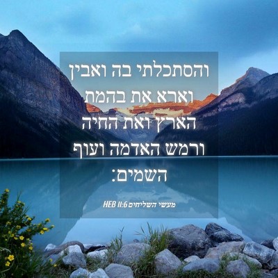 Picture 04 - מעשי השליחים 11:6 HEB - והסתכלתי בה ואבין וארא את - Bible Verse Picture