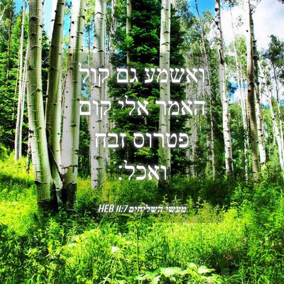 Picture 04 - מעשי השליחים 11:7 HEB - ואשמע גם קול האמר אלי קום - Bible Verse Picture