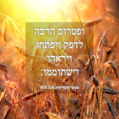 Picture 04 - מעשי השליחים 12:16 HEB - ופטרוס הרבה לדפק ויפתחו - Bible Verse Picture