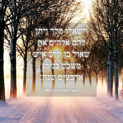 Picture 04 - מעשי השליחים 13:21 HEB - וישאלו מלך ויתן להם אלהים - Bible Verse Picture
