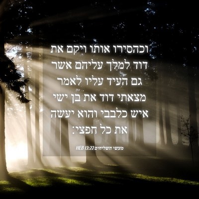 Picture 04 - מעשי השליחים 13:22 HEB - וכהסירו אותו ויקם את דוד - Bible Verse Picture