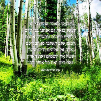 Picture 04 - מעשי השליחים 14:15 HEB - ויצעקו לאמר אנשים למה תעשו - Bible Verse Picture