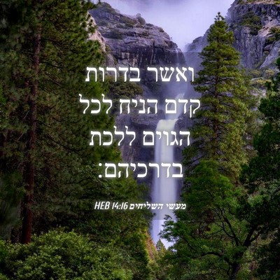 Picture 04 - מעשי השליחים 14:16 HEB - ואשר בדרות קדם הניח לכל - Bible Verse Picture