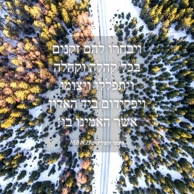 Picture 04 - מעשי השליחים 14:23 HEB - ויבחרו להם זקנים בכל קהלה - Bible Verse Picture
