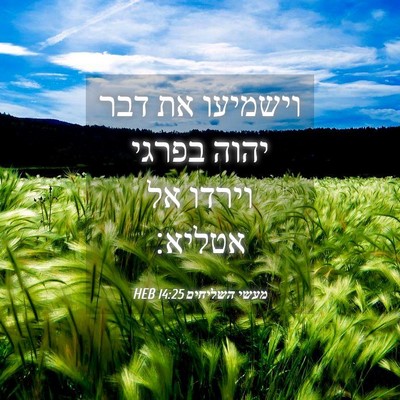 Picture 04 - מעשי השליחים 14:25 HEB - וישמיעו את דבר יהוה בפרגי - Bible Verse Picture