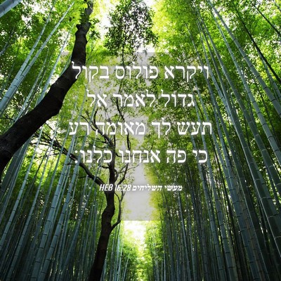 Picture 04 - מעשי השליחים 16:28 HEB - ויקרא פולוס בקול גדול לאמר - Bible Verse Picture