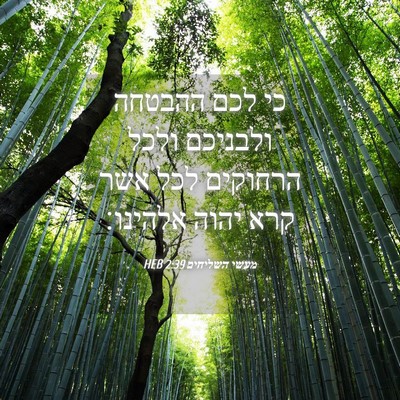 Picture 04 - מעשי השליחים 2:39 HEB - כי לכם ההבטחה ולבניכם ולכל - Bible Verse Picture