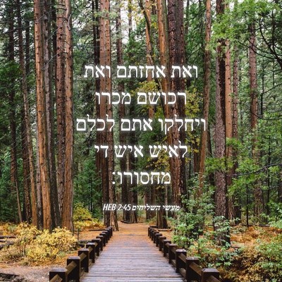 Picture 04 - מעשי השליחים 2:45 HEB - ואת אחזתם ואת רכושם מכרו - Bible Verse Picture