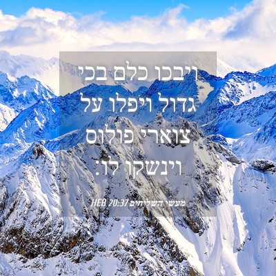 Picture 04 - מעשי השליחים 20:37 HEB - ויבכו כלם בכי גדול ויפלו על - Bible Verse Picture