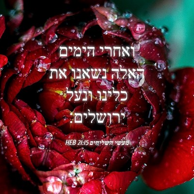 Picture 04 - מעשי השליחים 21:15 HEB - ואחרי הימים האלה נשאנו את - Bible Verse Picture