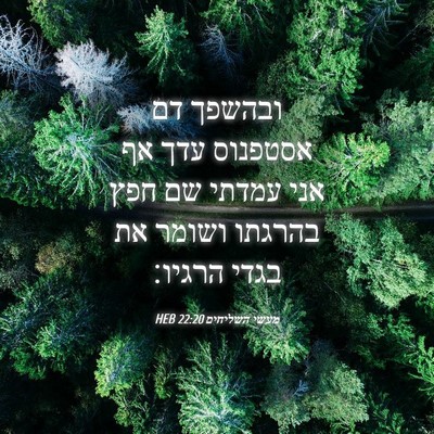 Picture 04 - מעשי השליחים 22:20 HEB - ובהשפך דם אסטפנוס עדך אף - Bible Verse Picture