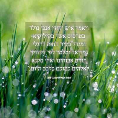 Picture 04 - מעשי השליחים 22:3 HEB - ויאמר איש יהודי אנכי נולד - Bible Verse Picture