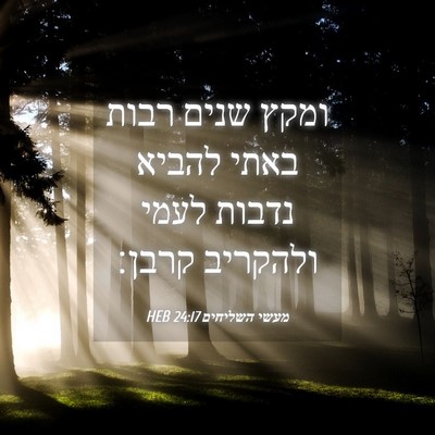 Picture 04 - מעשי השליחים 24:17 HEB - ומקץ שנים רבות באתי להביא - Bible Verse Picture