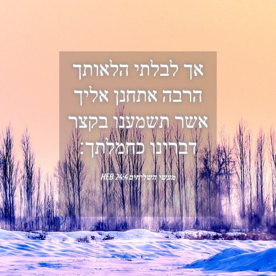 Picture 04 - מעשי השליחים 24:4 HEB - אך לבלתי הלאותך הרבה אתחנן - Bible Verse Picture