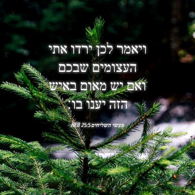 Picture 04 - מעשי השליחים 25:5 HEB - ויאמר לכן ירדו אתי העצומים - Bible Verse Picture