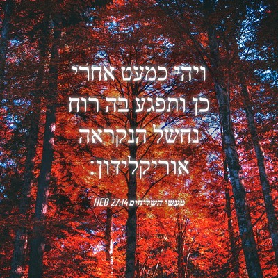 Picture 04 - מעשי השליחים 27:14 HEB - ויהי כמעט אחרי כן ותפגע בה - Bible Verse Picture
