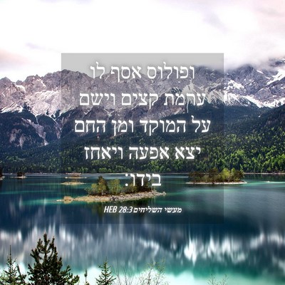Picture 04 - מעשי השליחים 28:3 HEB - ופולוס אסף לו ערמת קצים - Bible Verse Picture