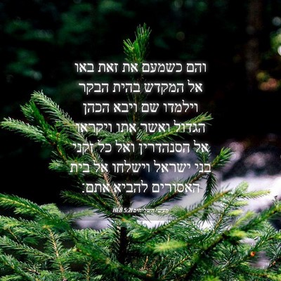Picture 04 - מעשי השליחים 5:21 HEB - והם כשמעם את זאת באו אל - Bible Verse Picture
