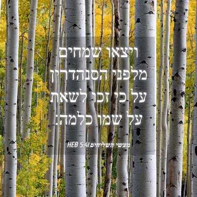 Picture 04 - מעשי השליחים 5:41 HEB - ויצאו שמחים מלפני הסנהדרין - Bible Verse Picture