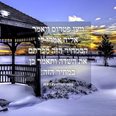 Picture 04 - מעשי השליחים 5:8 HEB - ויען פטרוס ויאמר אליה אמרי - Bible Verse Picture