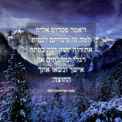 Picture 04 - מעשי השליחים 5:9 HEB - ויאמר פטרוס אליה למה זה - Bible Verse Picture