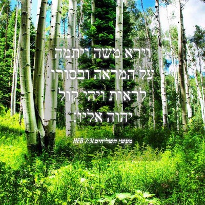 Picture 04 - מעשי השליחים 7:31 HEB - וירא משה ויתמה על המראה - Bible Verse Picture