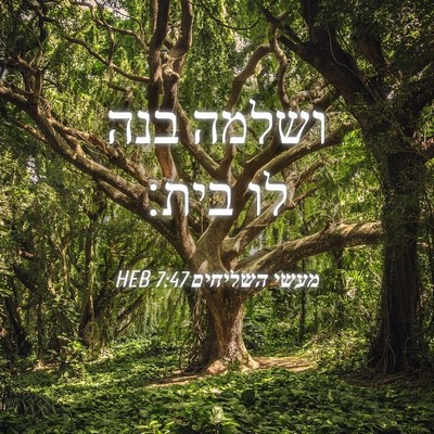 Picture 04 - מעשי השליחים 7:47 HEB - ושלמה בנה לו - Bible Verse Picture