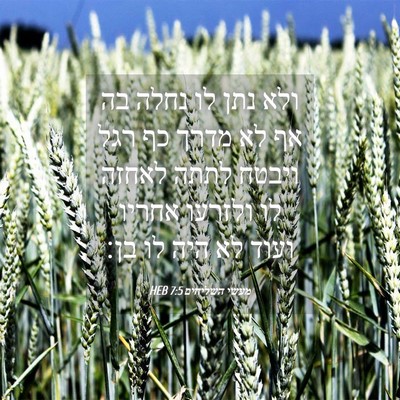 Picture 04 - מעשי השליחים 7:5 HEB - ולא נתן לו נחלה בה אף לא - Bible Verse Picture