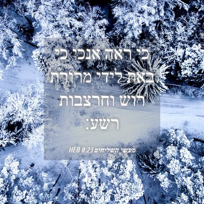 Picture 04 - מעשי השליחים 8:23 HEB - כי ראה אנכי כי באת לידי - Bible Verse Picture