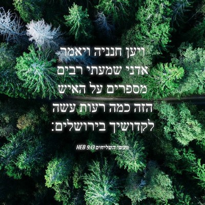 Picture 04 - מעשי השליחים 9:13 HEB - ויען חנניה ויאמר אדני - Bible Verse Picture