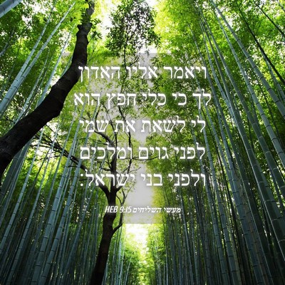 Picture 04 - מעשי השליחים 9:15 HEB - ויאמר אליו האדון לך כי כלי - Bible Verse Picture