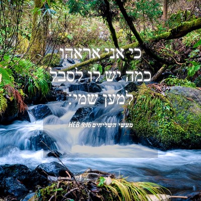 Picture 04 - מעשי השליחים 9:16 HEB - כי אני אראהו כמה יש לו לסבל - Bible Verse Picture