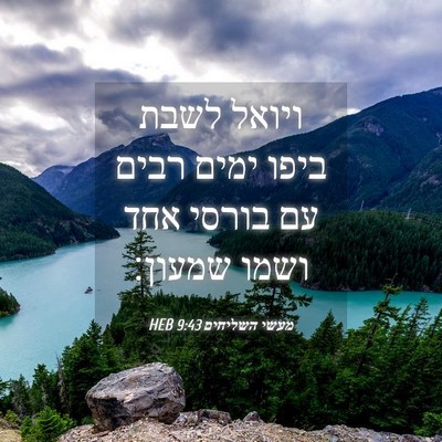 Picture 04 - מעשי השליחים 9:43 HEB - ויואל לשבת ביפו ימים רבים - Bible Verse Picture