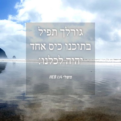 Picture 04 - משלי 1:14 HEB - גורלך תפיל בתוכנו כיס אחד - Bible Verse Picture