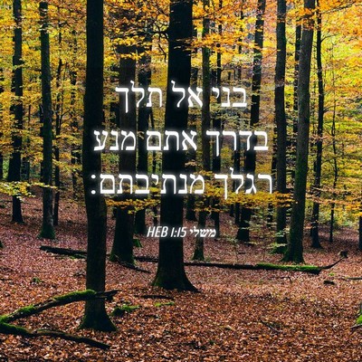 Picture 04 - משלי 1:15 HEB - בני אל תלך בדרך אתם מנע - Bible Verse Picture