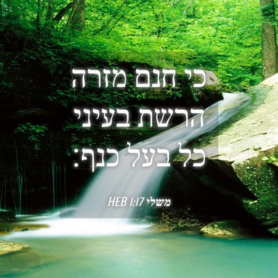 Picture 04 - משלי 1:17 HEB - כי חנם מזרה הרשת בעיני כל - Bible Verse Picture