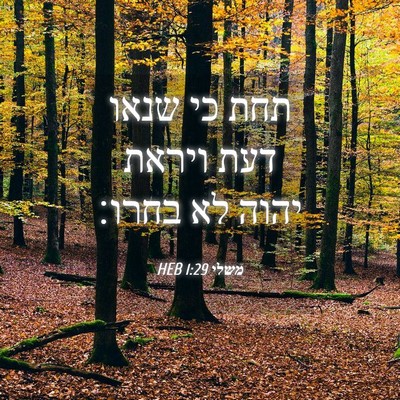 Picture 04 - משלי 1:29 HEB - תחת כי שנאו דעת ויראת יהוה - Bible Verse Picture