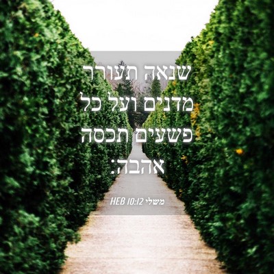 Picture 04 - משלי 10:12 HEB - שנאה תעורר מדנים ועל כל - Bible Verse Picture