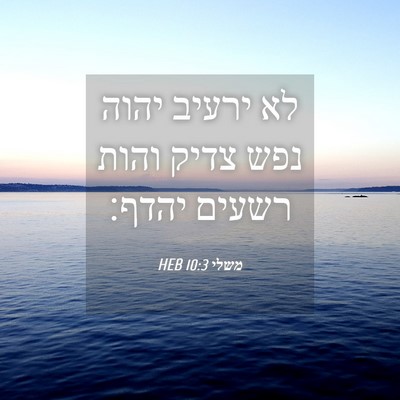 Picture 04 - משלי 10:3 HEB - לא ירעיב יהוה נפש צדיק והות - Bible Verse Picture