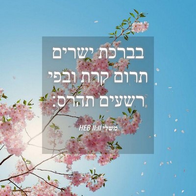 Picture 04 - משלי 11:11 HEB - בברכת ישרים תרום קרת ובפי - Bible Verse Picture