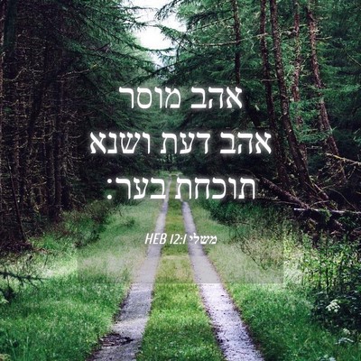 Picture 04 - משלי 12:1 HEB - אהב מוסר אהב דעת ושנא תוכחת - Bible Verse Picture